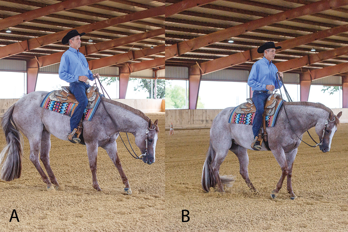 A side-by-side comparison of a horse coming to a stop