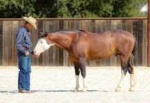 desensitizing methods