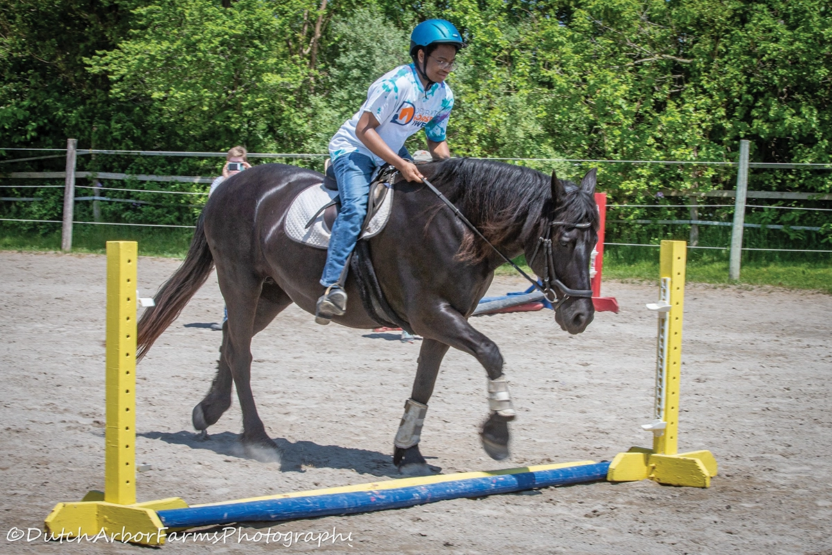 A young rider riding a gelding over a ground pole.