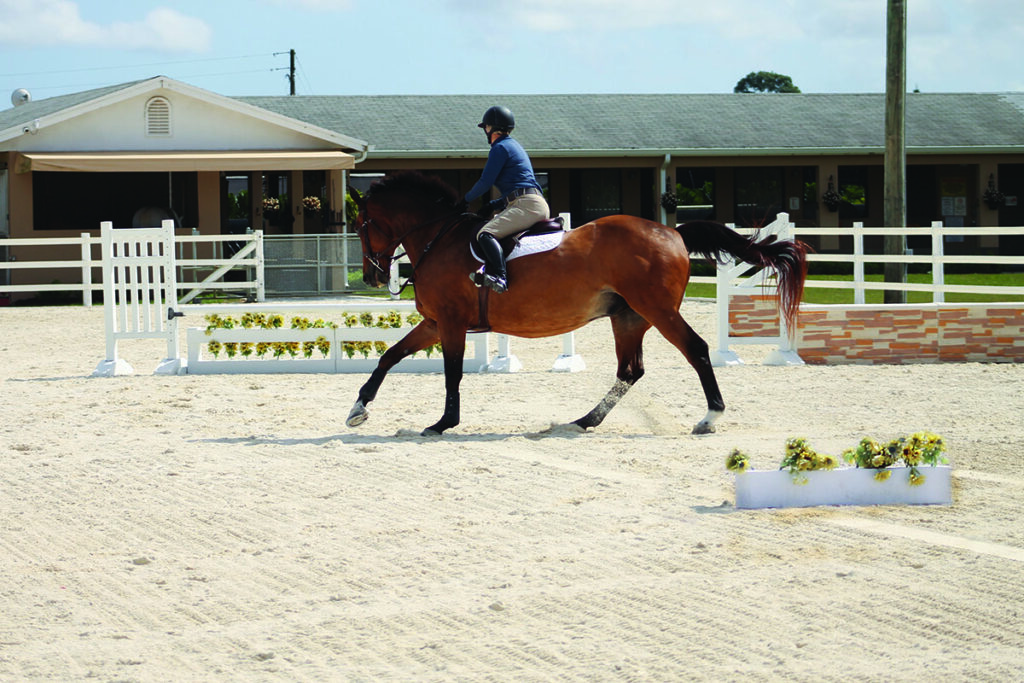 A horse and rider practice jumping courses