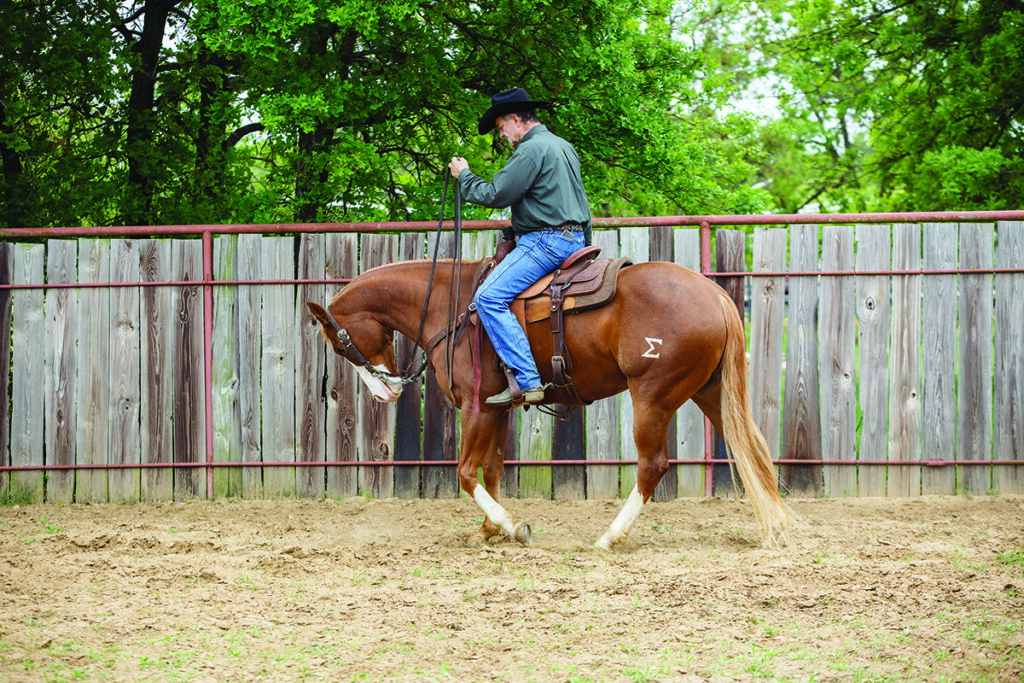 ranch riding downward transitions