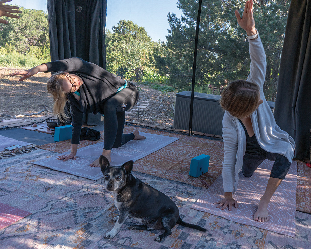 Two women perform Equi-Yoga as a dog keeps them company