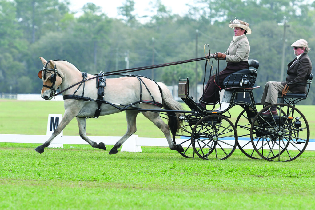 The FEI World Driving Championships for Ponies