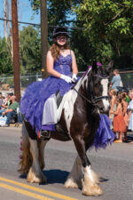 Breed Portrait: Gypsy Vanner - Horse Illustrated