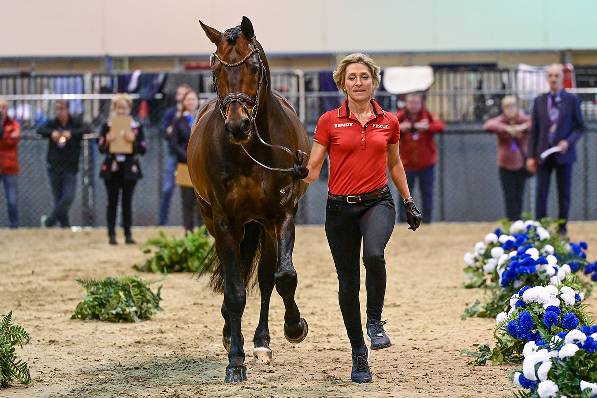 Ingrid Klimke jogging Franziskus FRH at the FEI World Cup dressage inspection