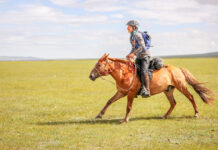 Jessie Dowling gallops toward the Mongol Derby finish line.
