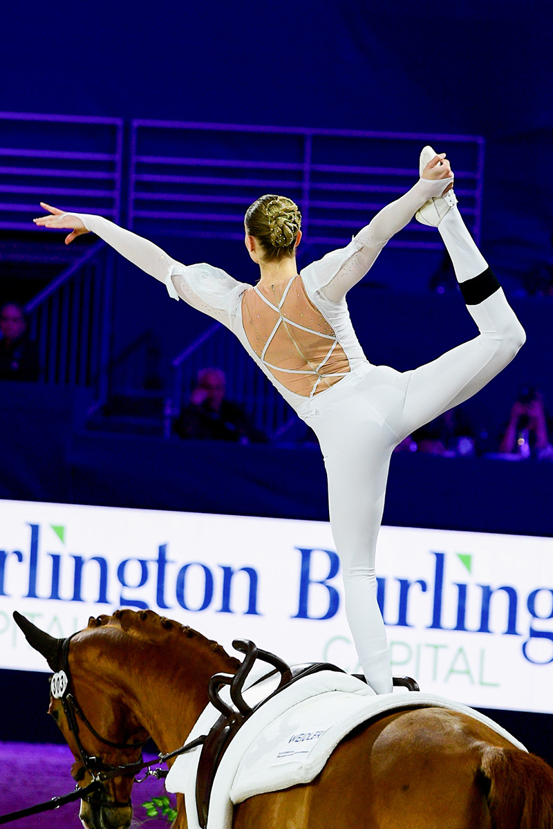 Horse vaulting