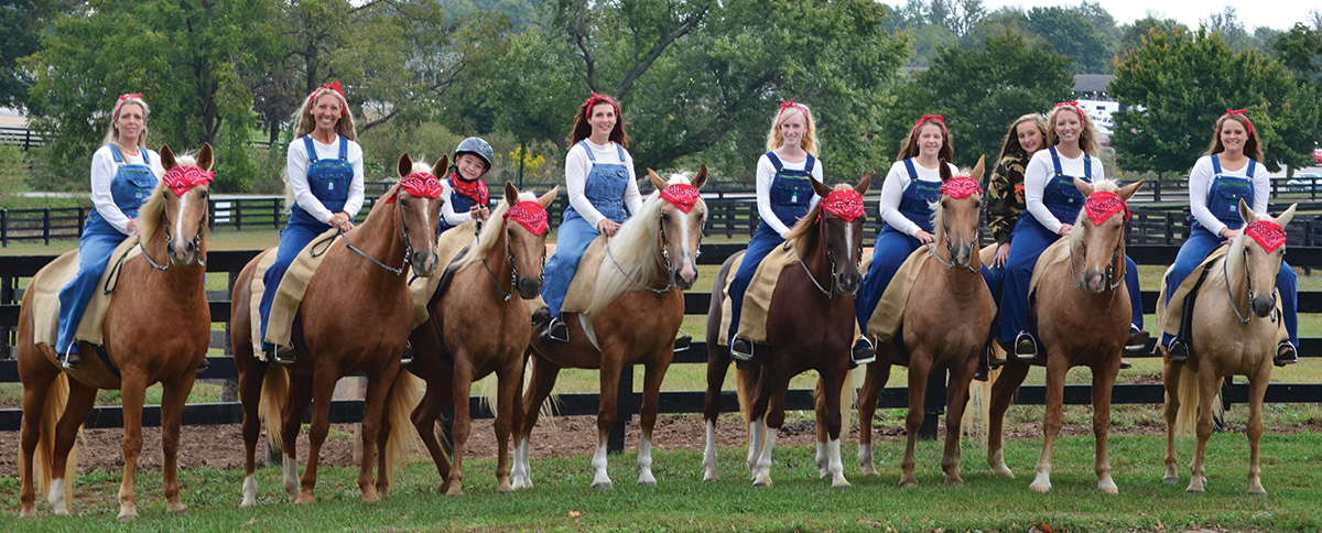 A large group of riders aboard Mountain Pleasure Horses, an endangered equine breed