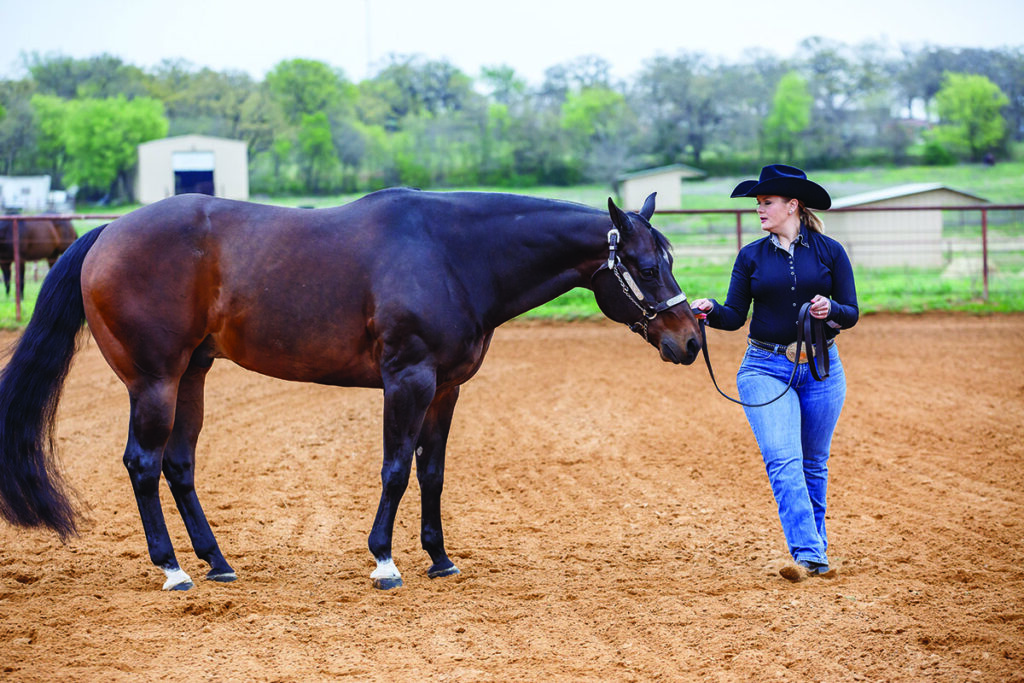 horse pivoting