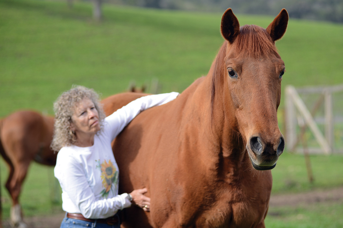 A woman practices somatic horsemanship with her horse