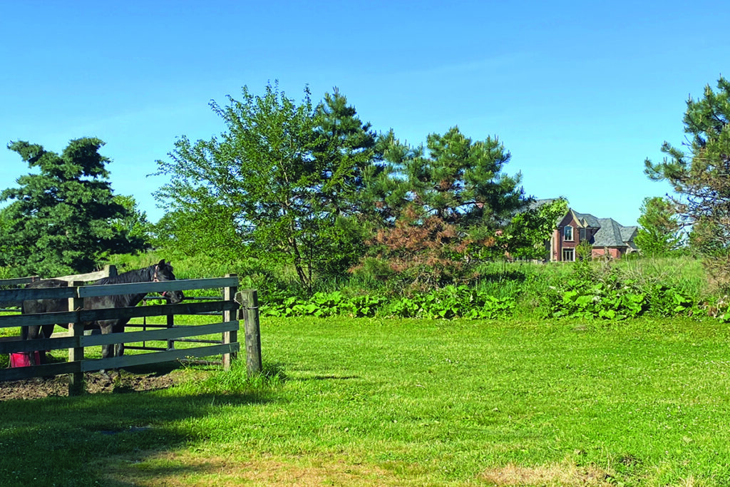 owning horse property