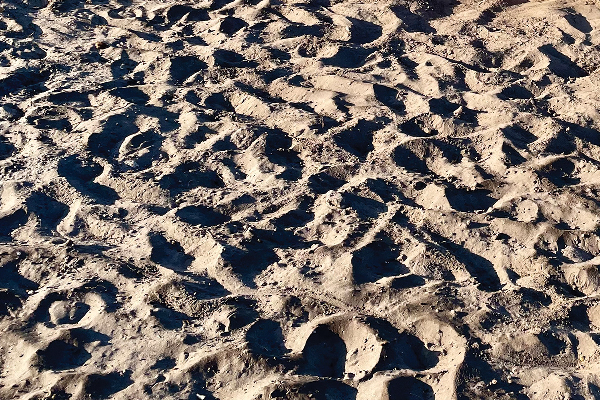 Horse arena footing.