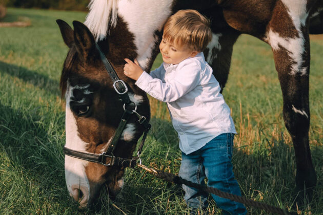 A toddler boy hugs a horse
