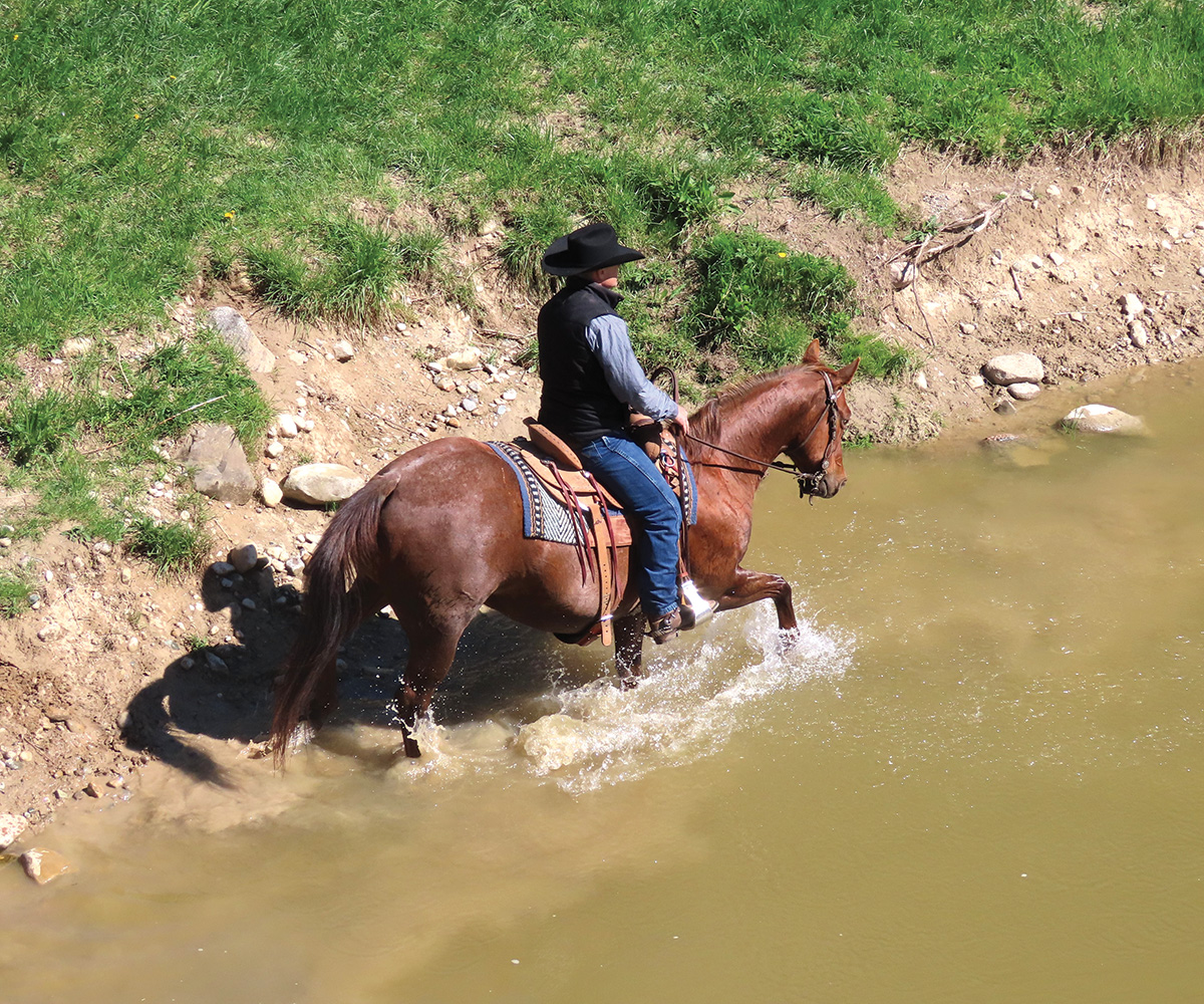 A horse and cowboy crossing water