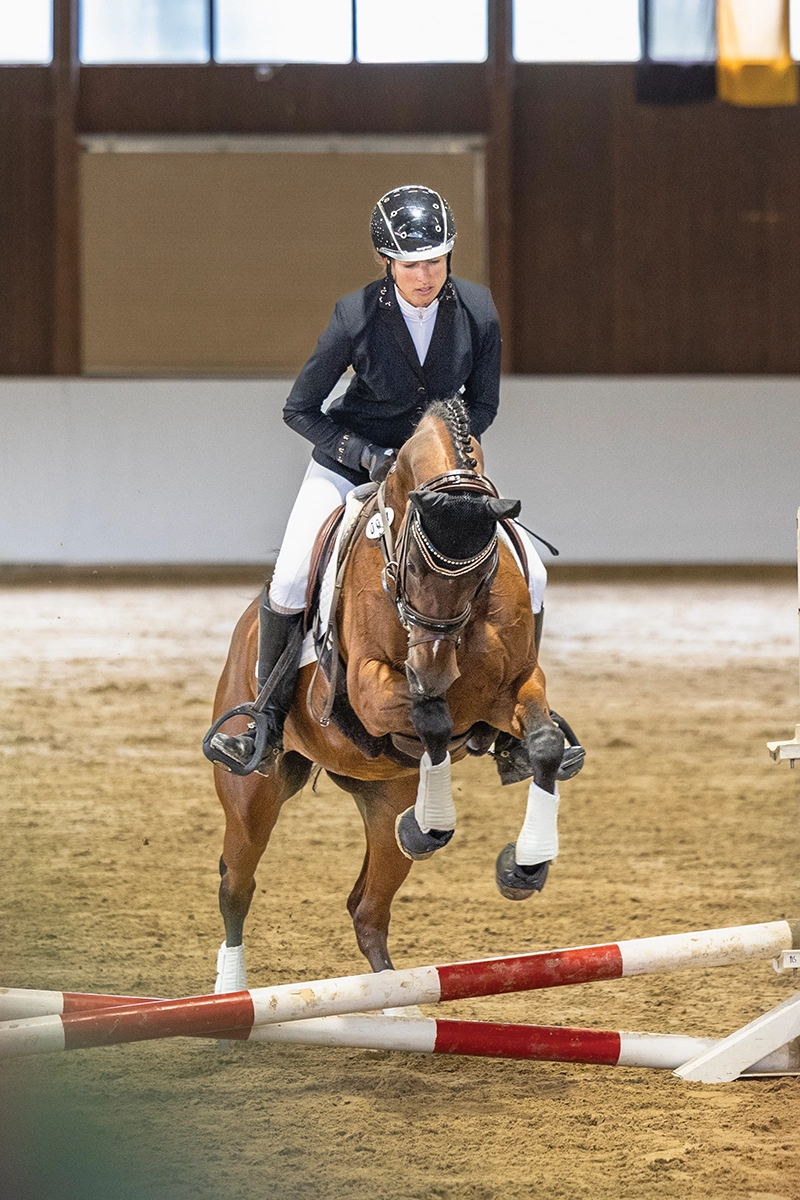 A rider jumping a horse over a low jump.