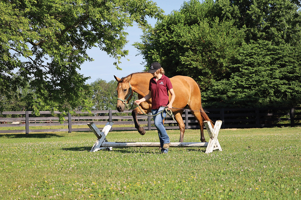 Going over the step-over.