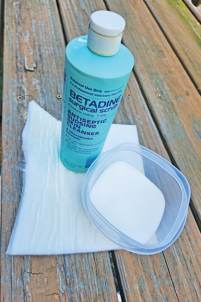 A rubber feed pan and Betadine soap.