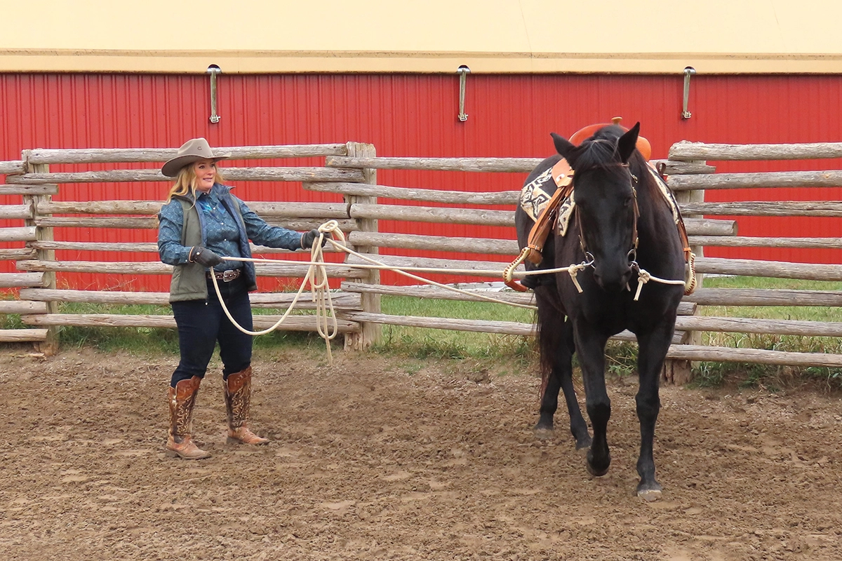 Bronwyn Irwin training in a round pen.