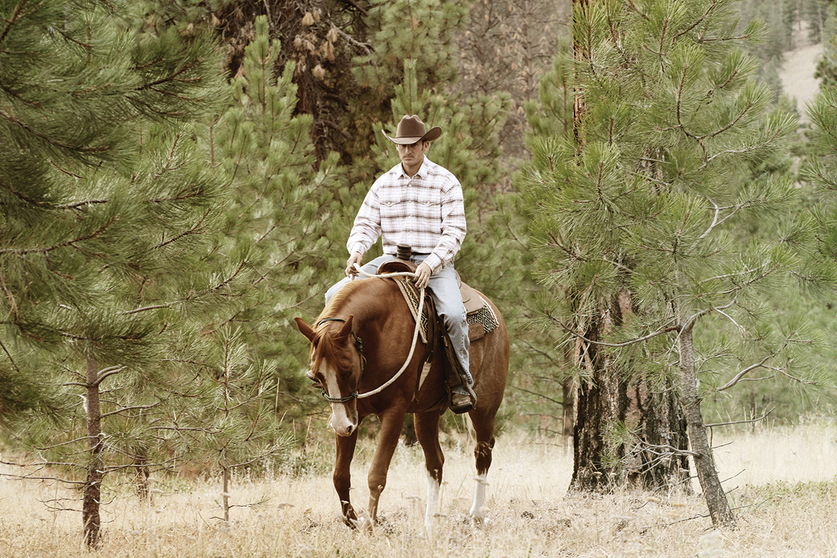 A cowboy rides his horse on a trail