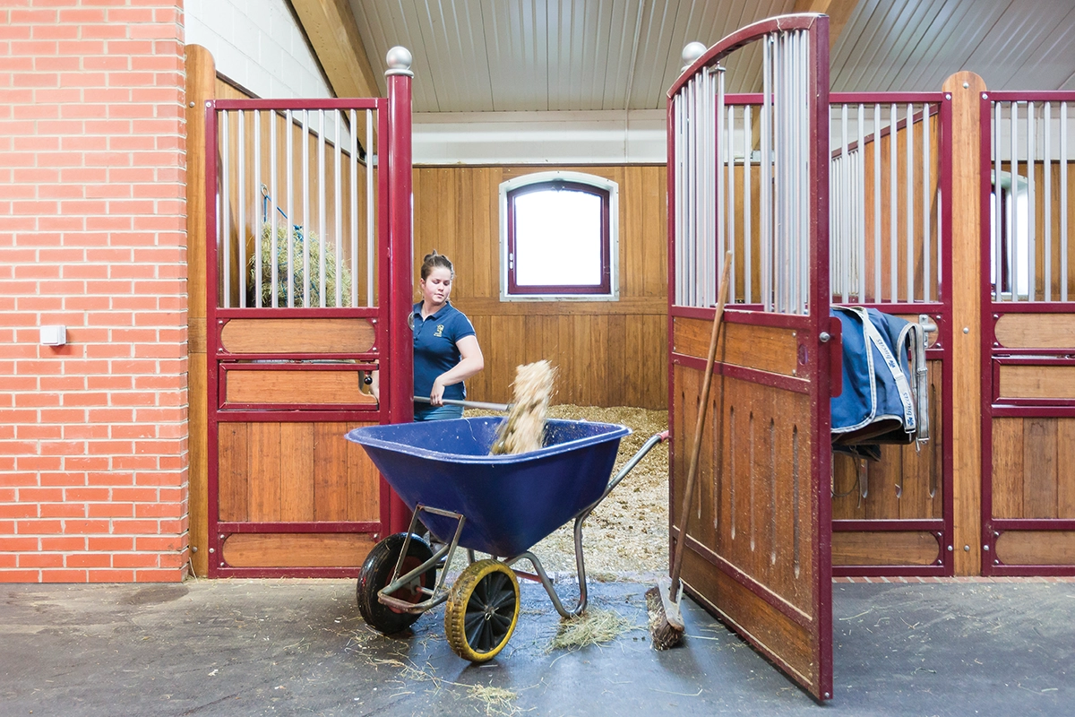 An equestrian cleaning a stall.