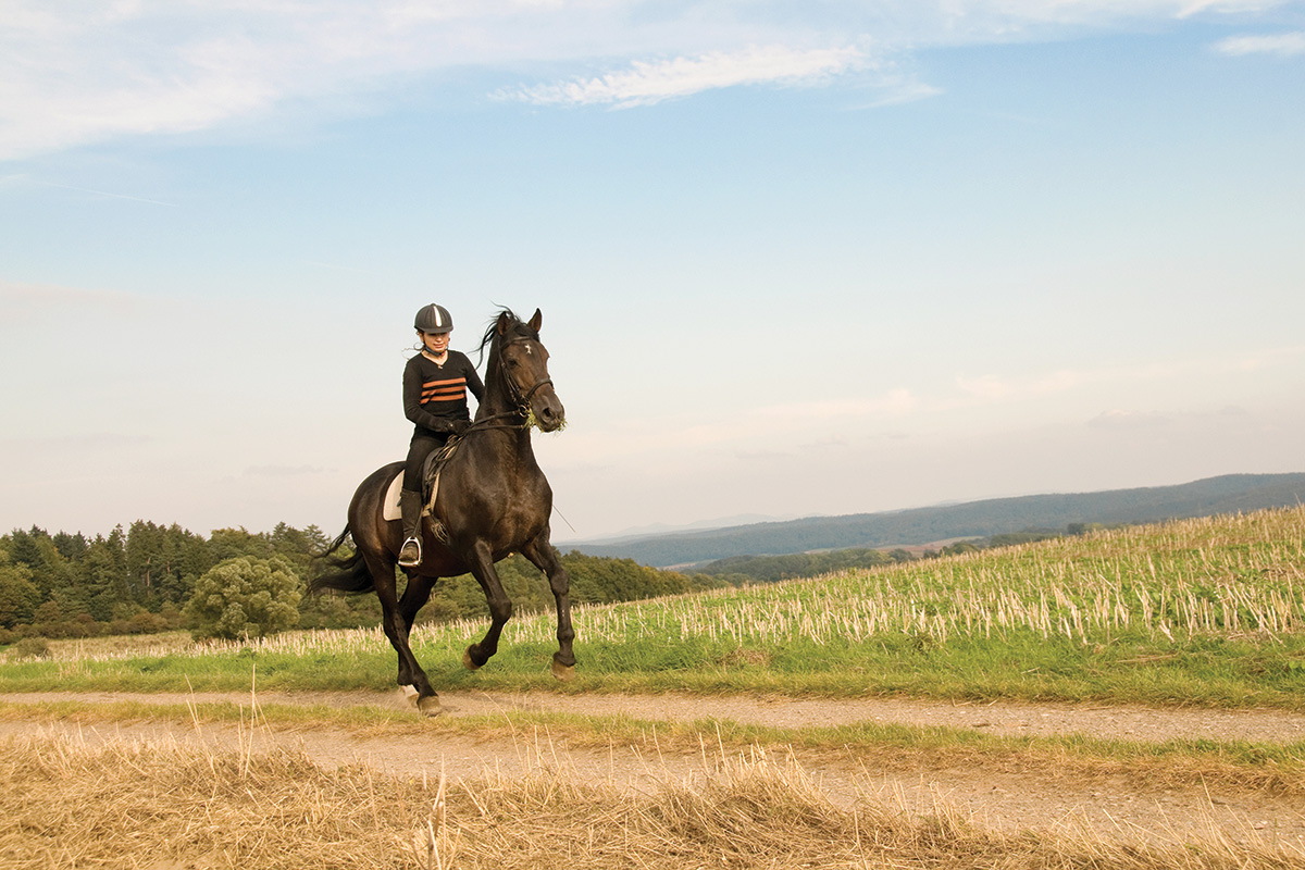 A rider galloping in a field