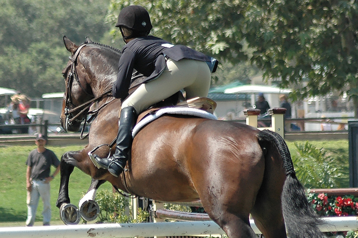 An equestrian jumps a fence