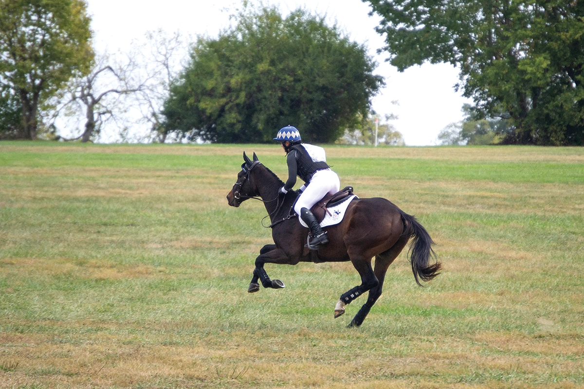 An equestrian riding an OTTB through its transition period.