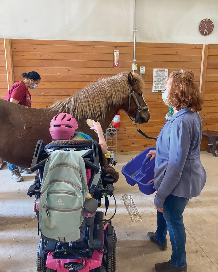 Therapy Horses: Equine Miracle Workers - Horse Illustrated