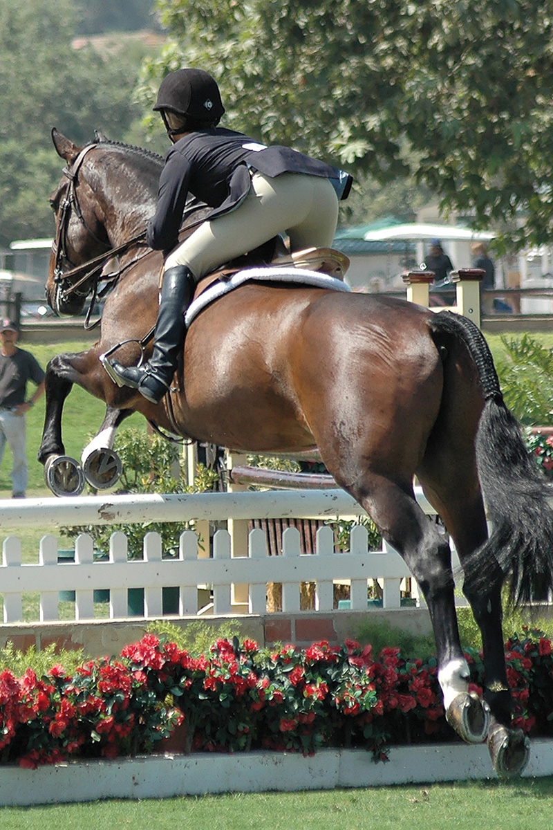 A horse and rider clear a jump at a show as a result of visualization techniques