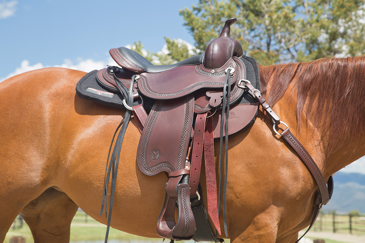 Western Saddle Fit Made Simple Muddy Country Radio Western Saddle Fit Made Simple Muddy Country Radio