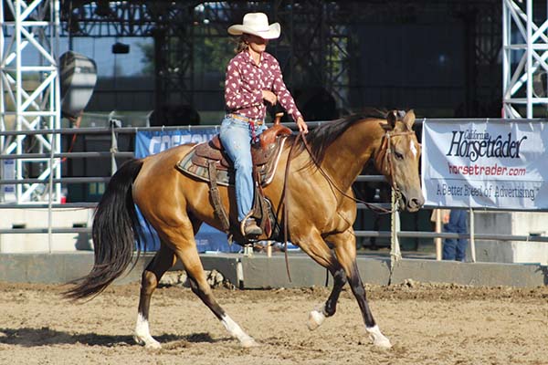 Western riding class at a show