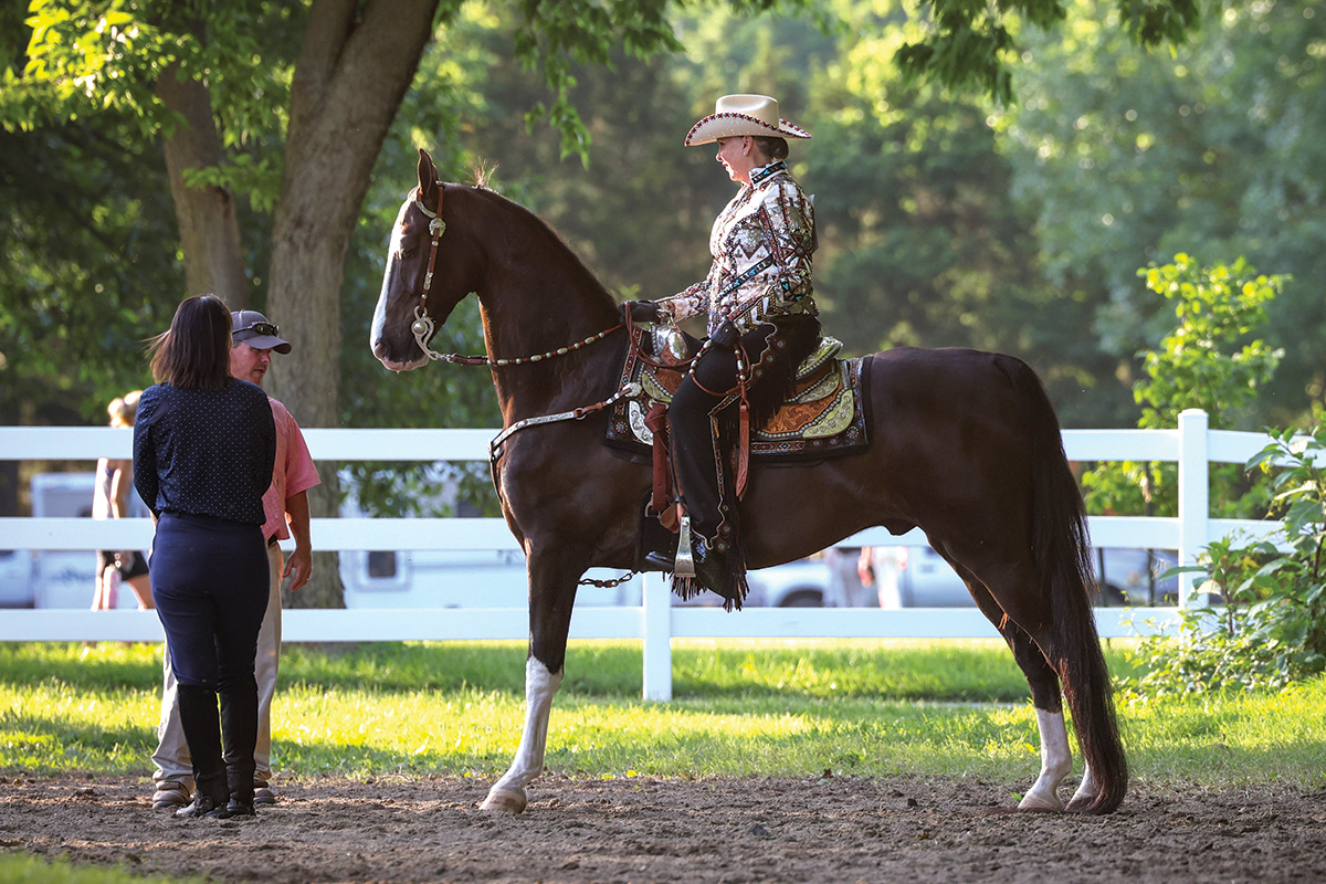 An American Saddlebred horse in western attire at a horse show