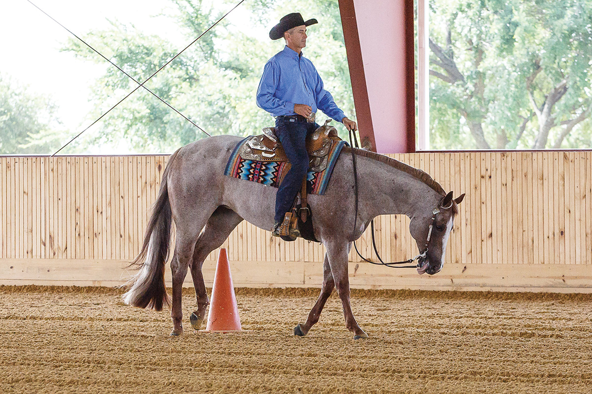 A trainer lopes a horse