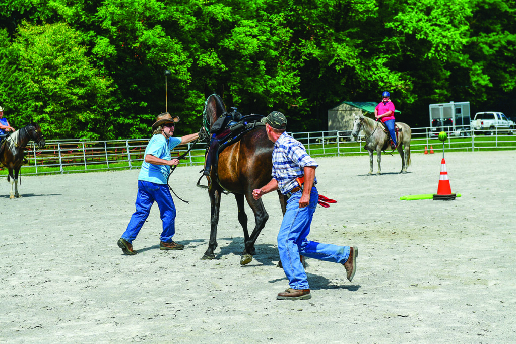 equestrian self-defense