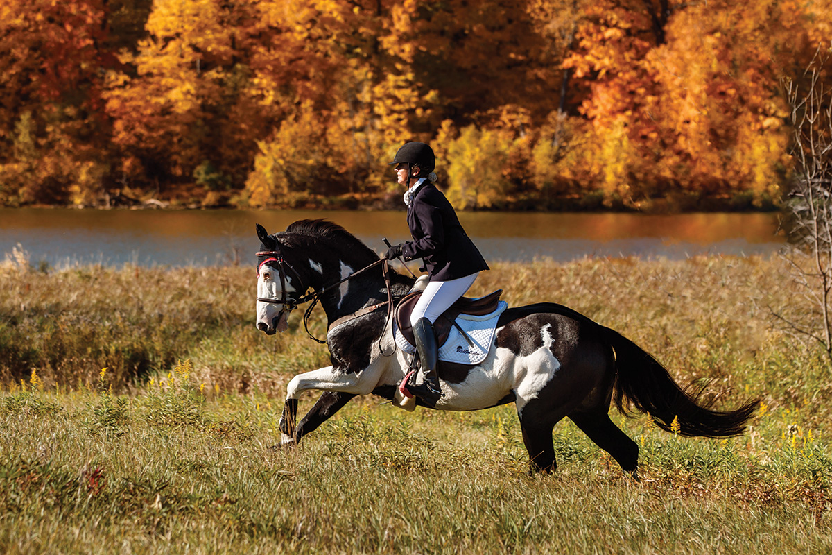 A rider gallops his horse with autumn leaves behind him