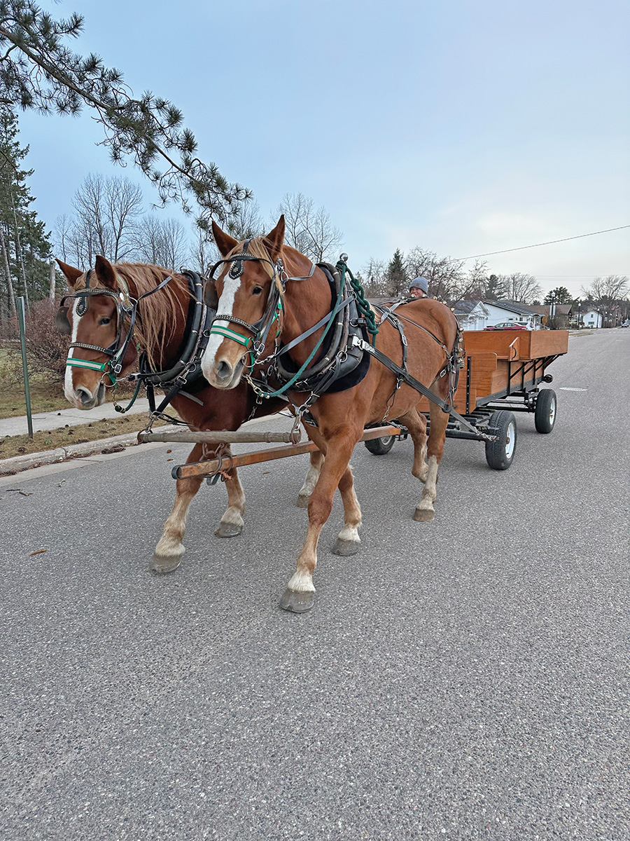 Horses pulling a wagon at Haven Pines.