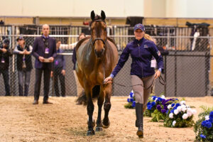 Jumper Inspection Opens the 2023 Omaha FEI World Cup Finals