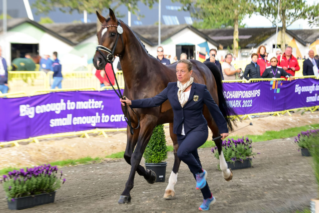 FEI World Championships Day 1