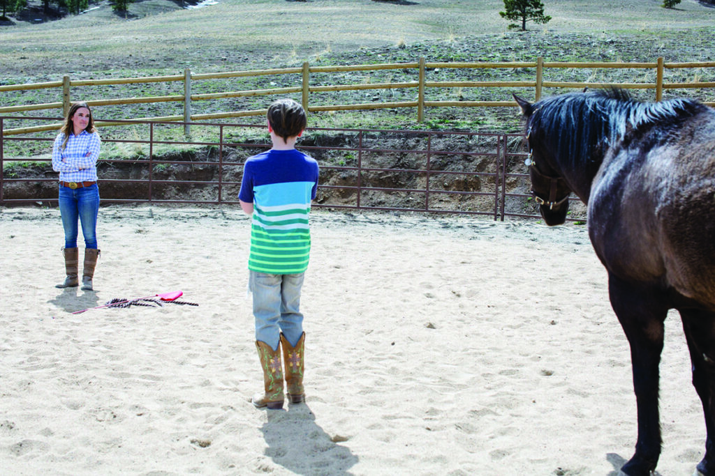 equine-assisted therapy