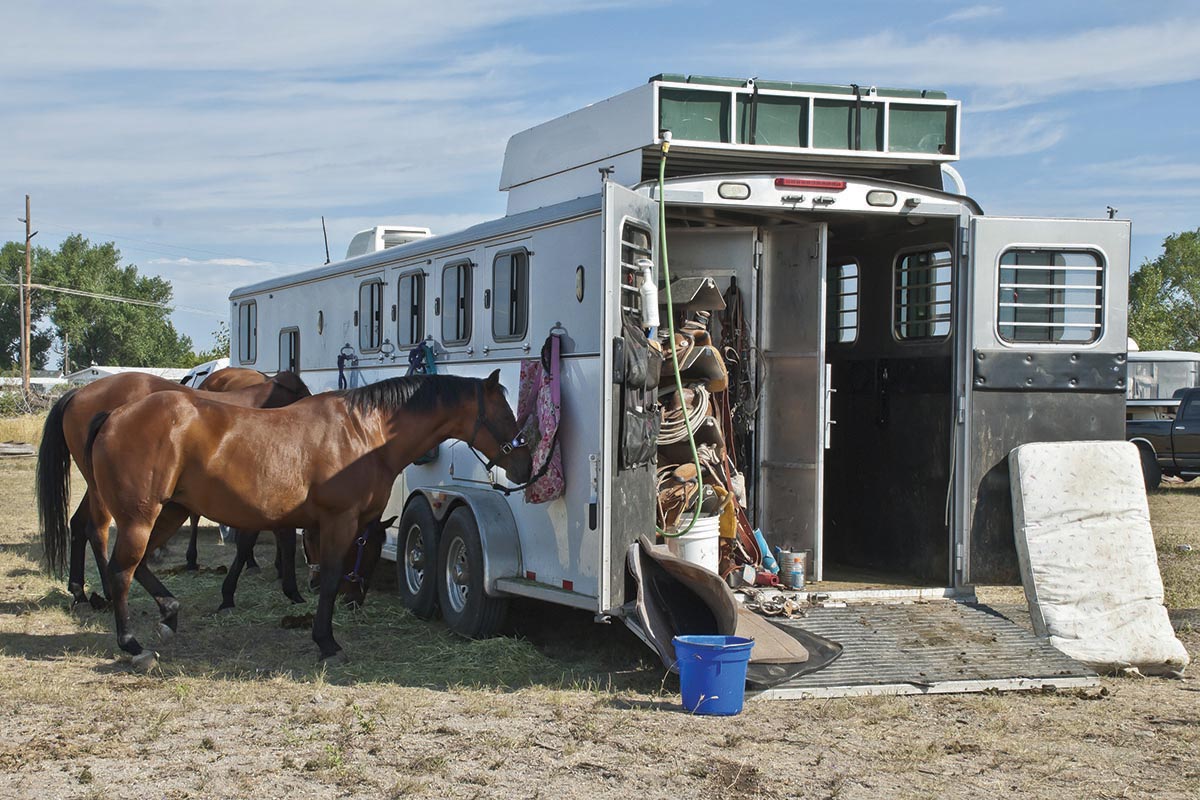 Horses tied to a trailer