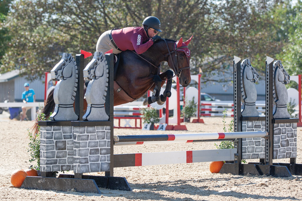 Retired Racehorse Program