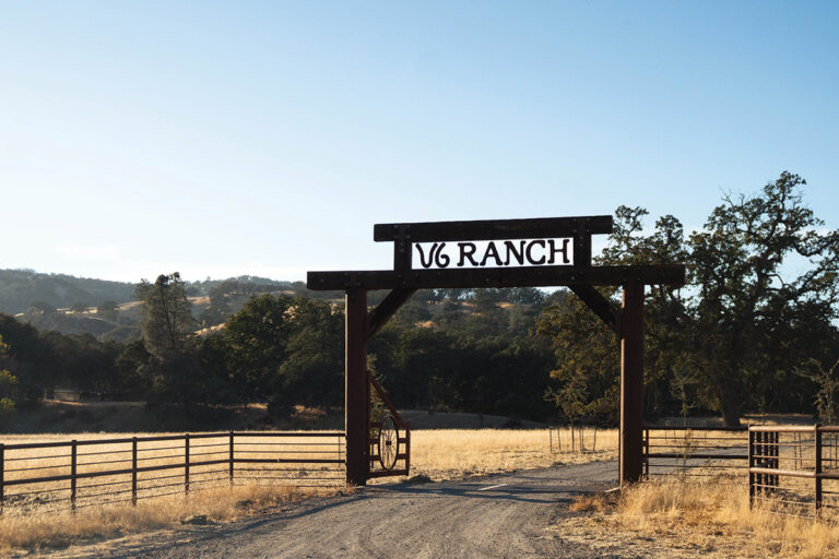 Visit the V6 Ranch - Horse Illustrated