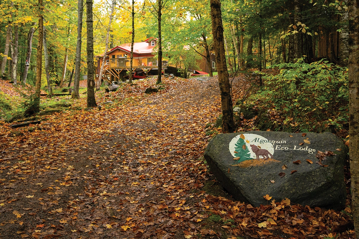 Eco Lodge in the fall.