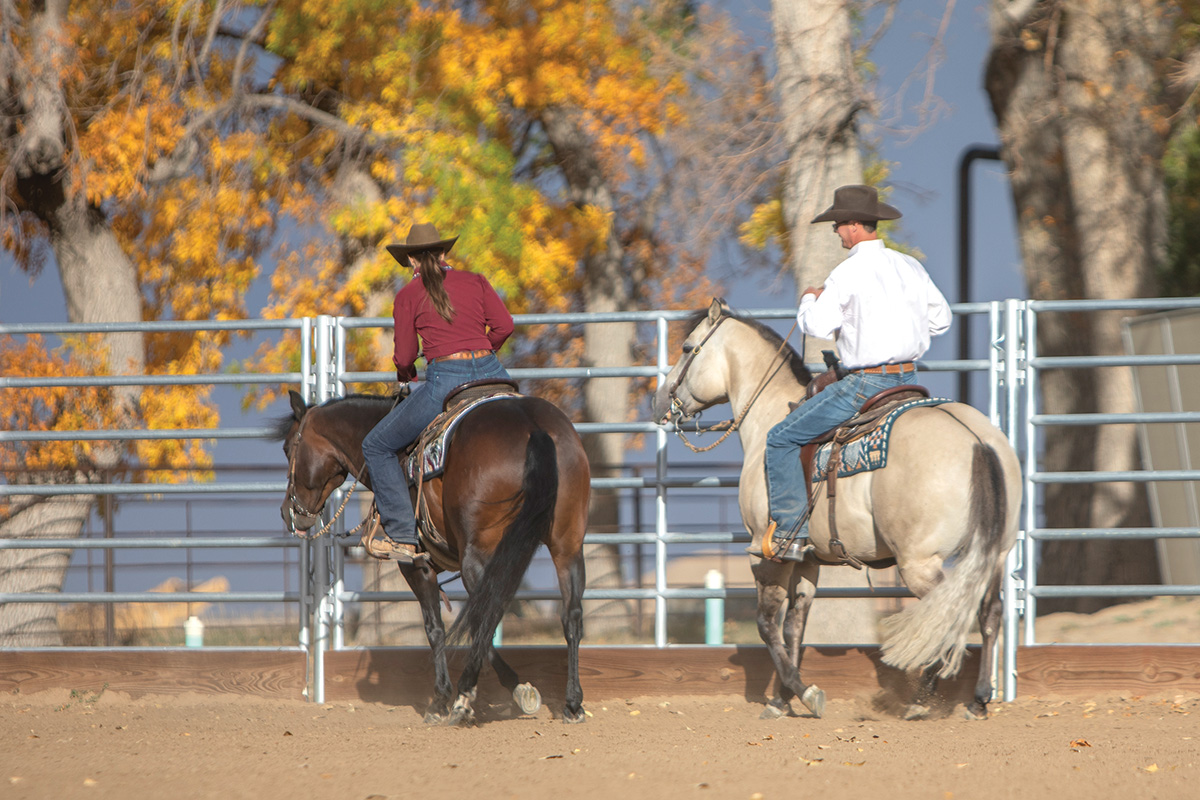 Two riders turn their horses along a fence