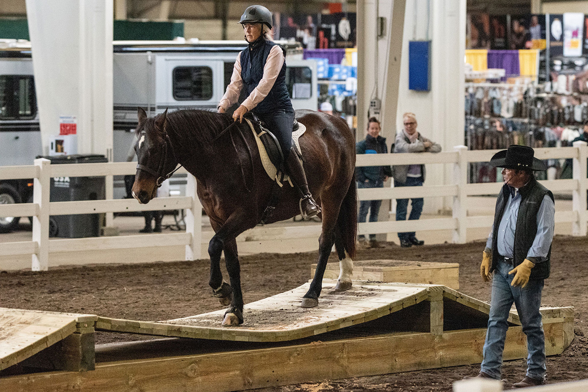 Mark Bolender instructing a horse and rider at a clinic