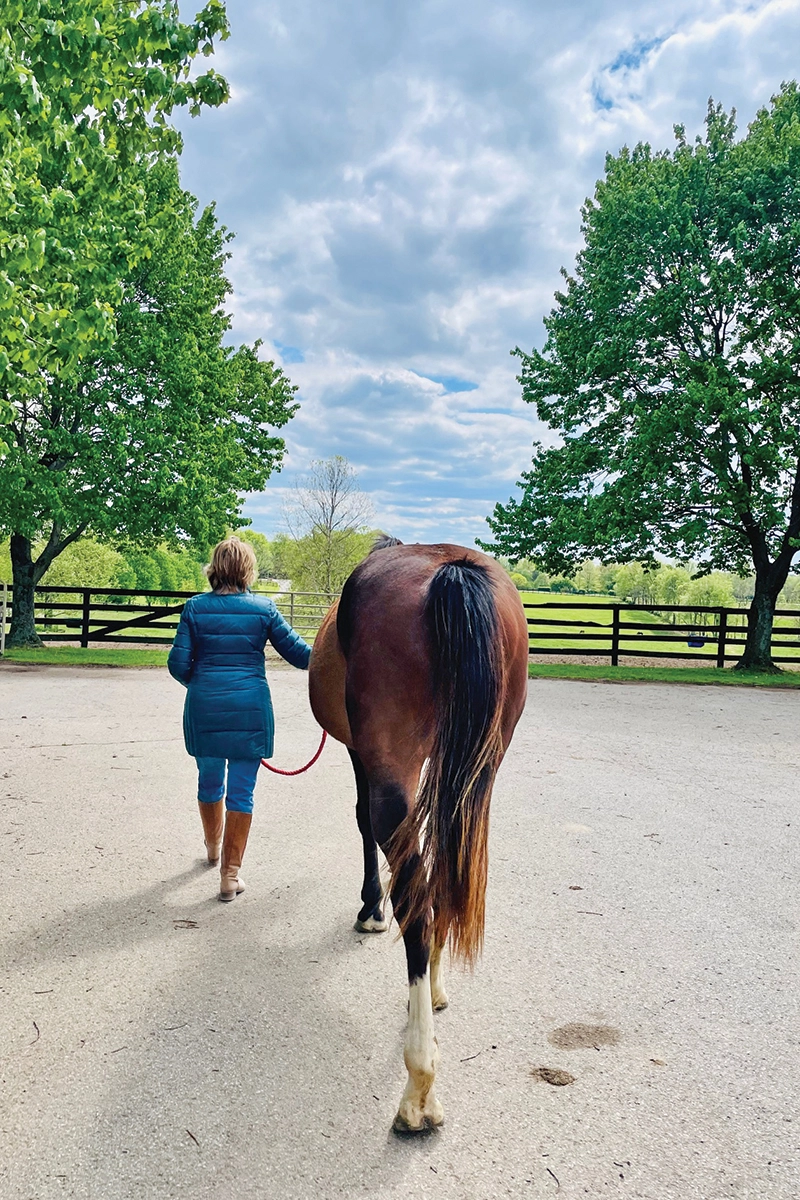 A woman leads a bay mare towards a field.