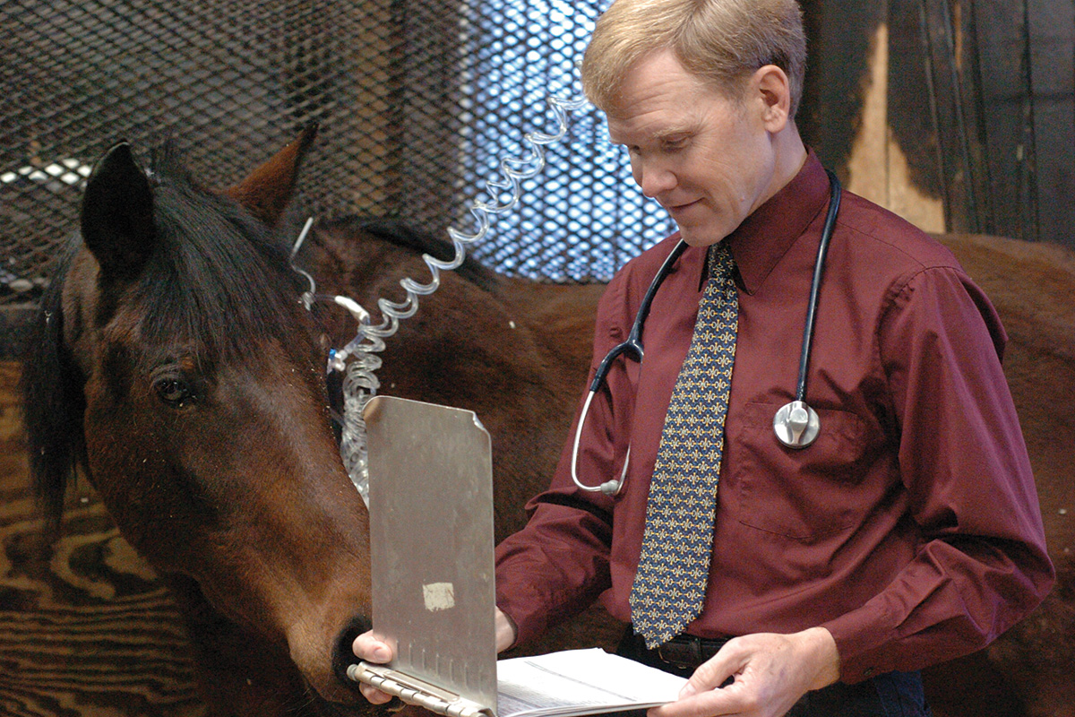 Fluids are given to a horse as it is evaluated by a veterinarian for colitis