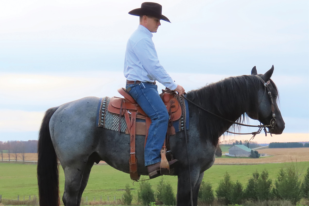 Jason Irwin riding a horse and showing how to stand still while mounting