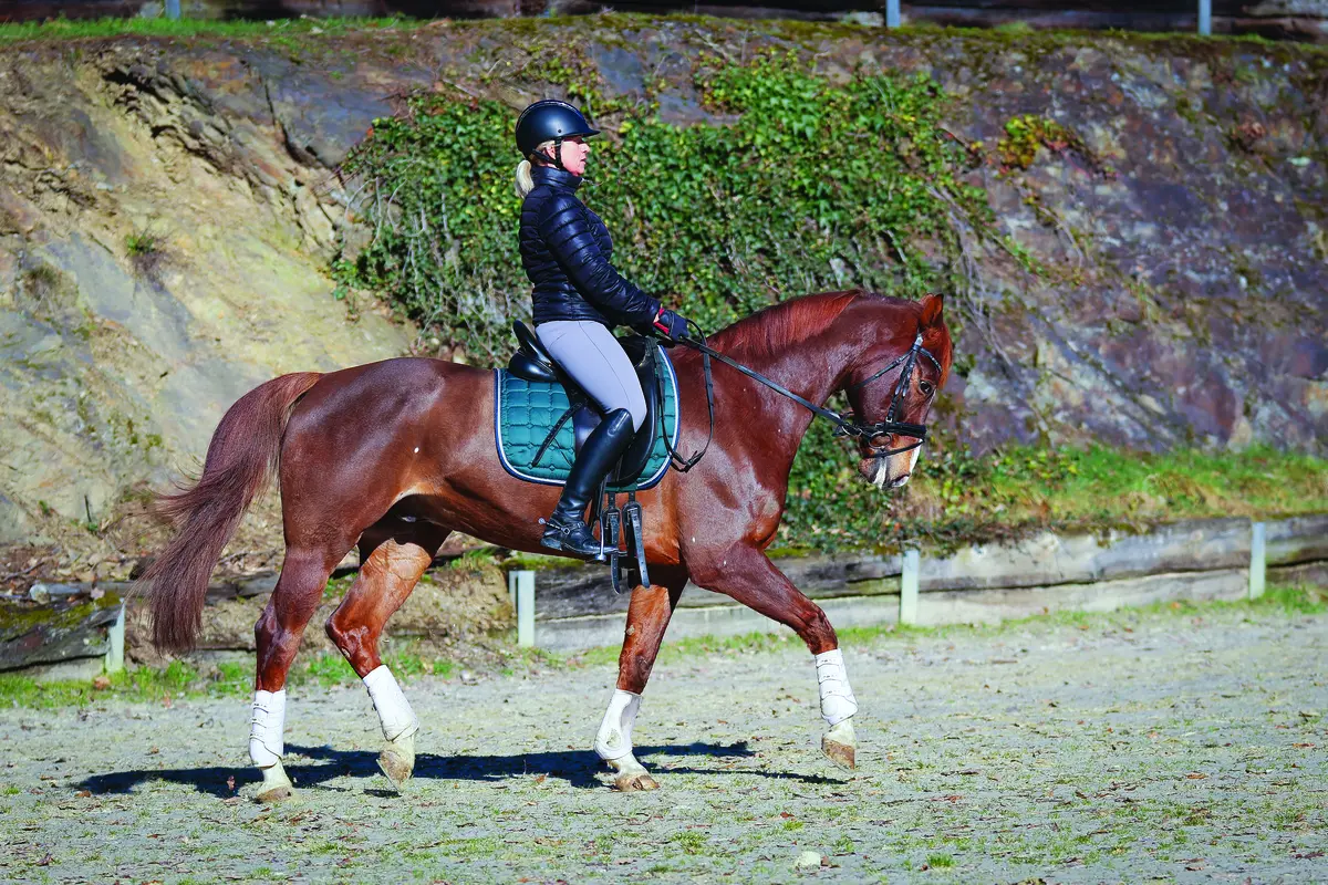 An equestrian portraying correct riding and posture.