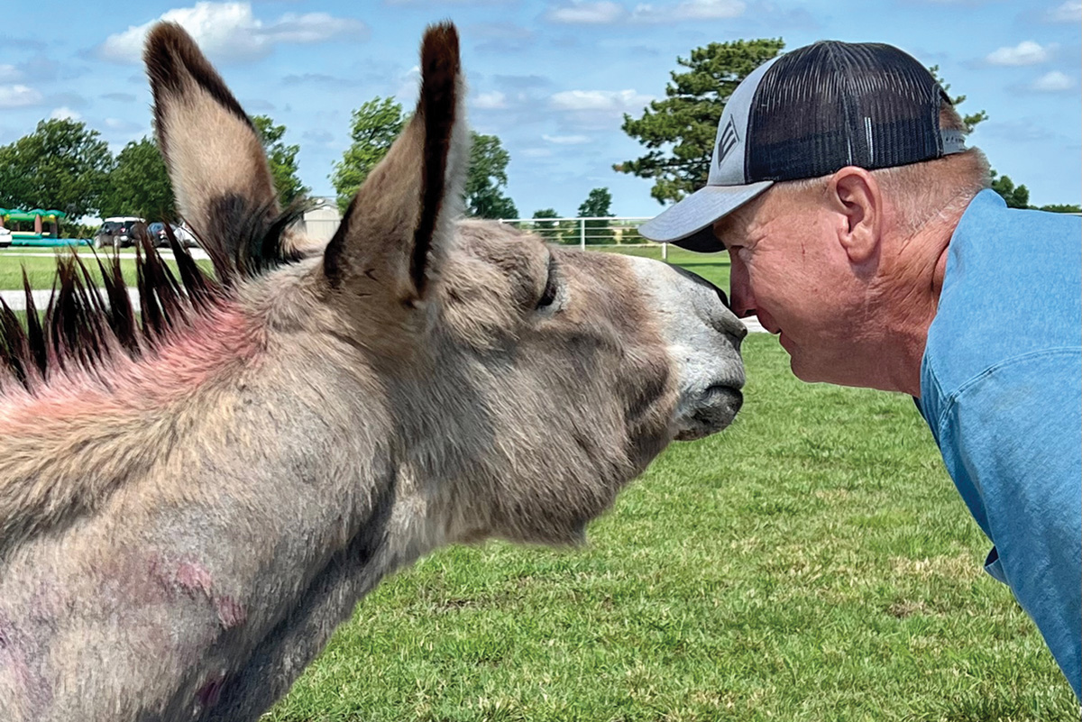 A man kisses the nose of a donkey at Nexus Equine